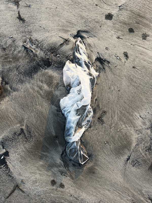 Untitled from the series "Beach Trash"