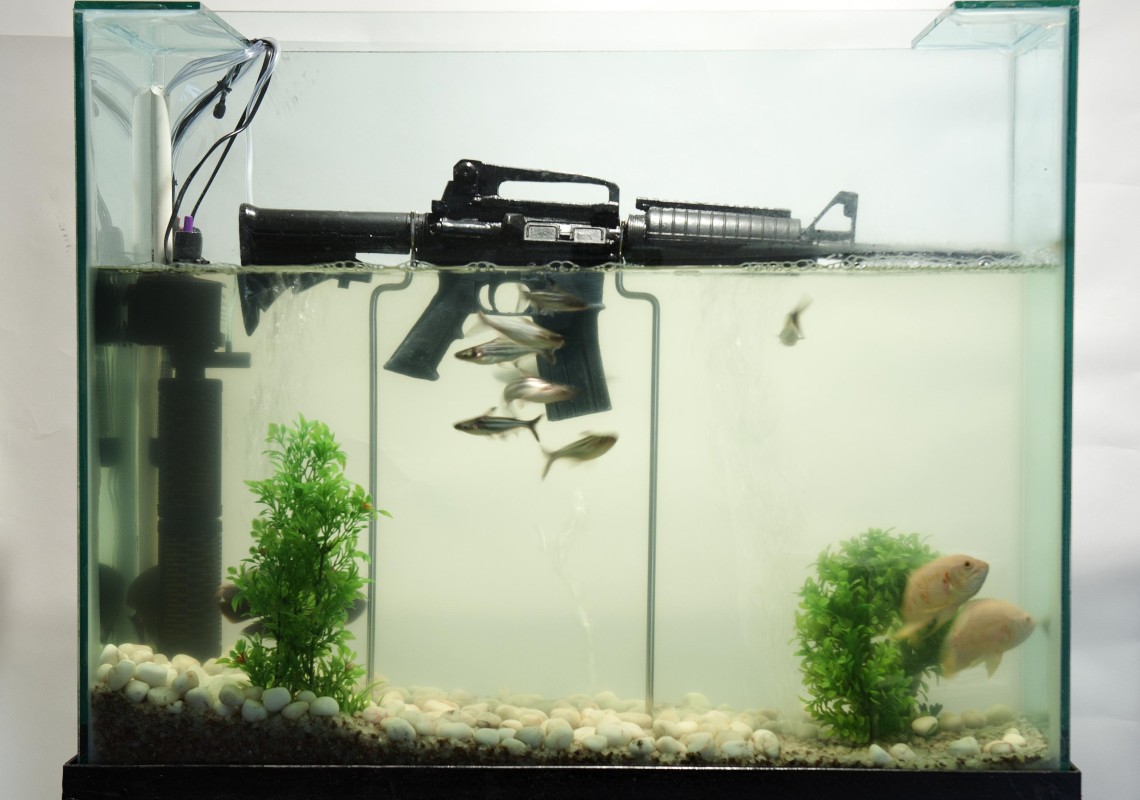 NavyaMatsyaNyaya (The New Law of Fishes)