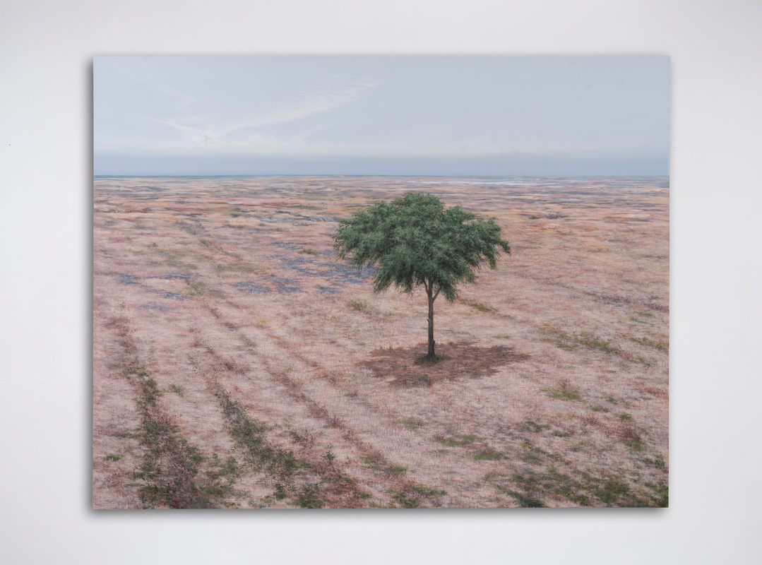 A Field Without Address