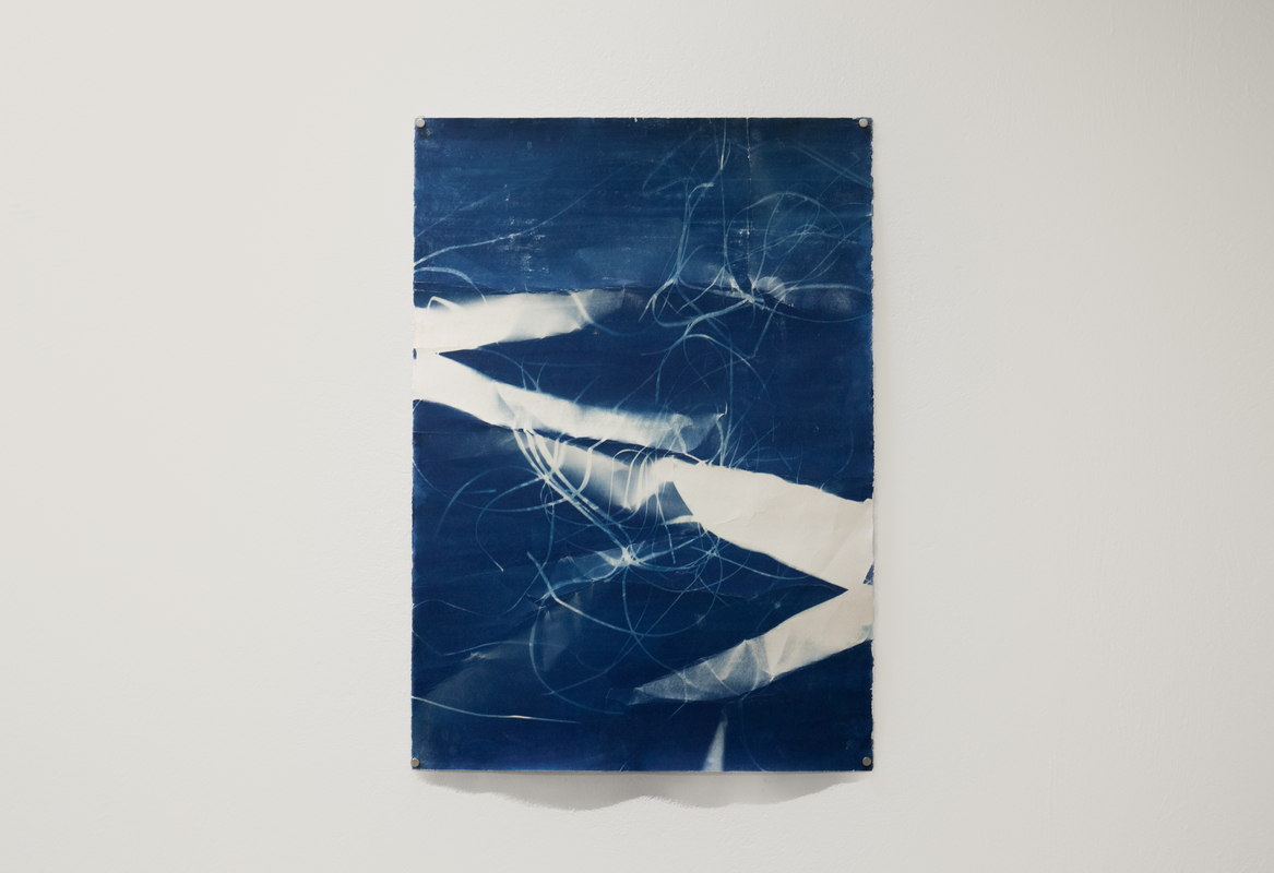 Fold Study B1