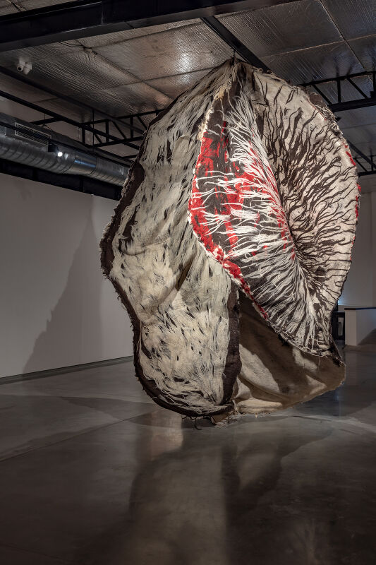 artist/banner/7_20260201_130812.jpg