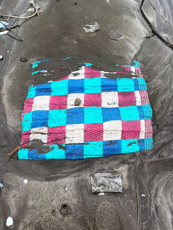 Untitled from the series "Beach Trash"