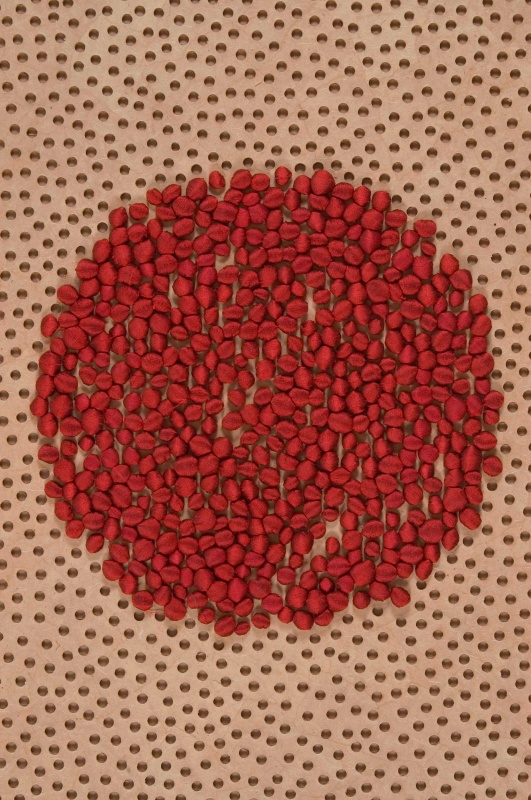 Pomegranate Bloom 1, (detail