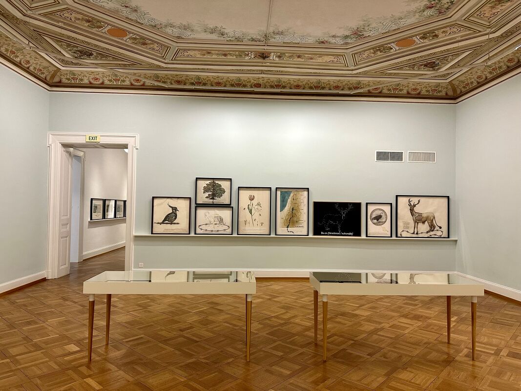artist/banner/11_20260201_133030.jpg
