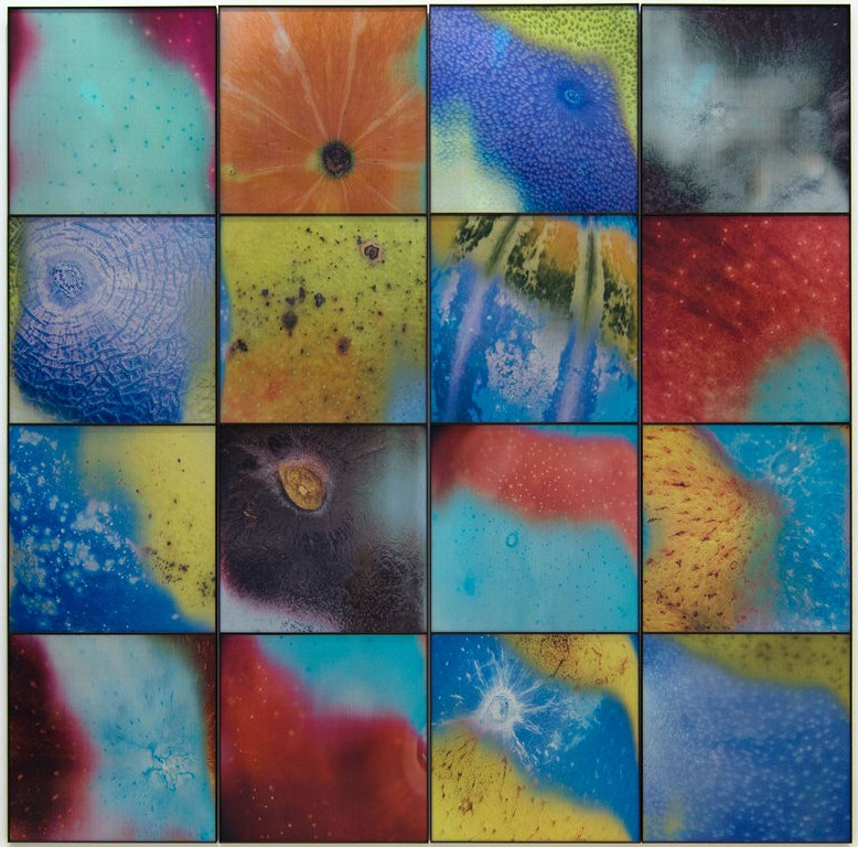 artist/banner/4_20260201_155733.jpg