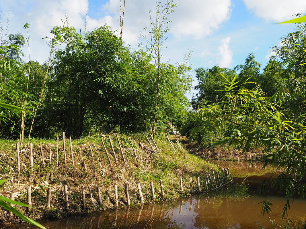 artist/banner/6_20260131_184426.jpg