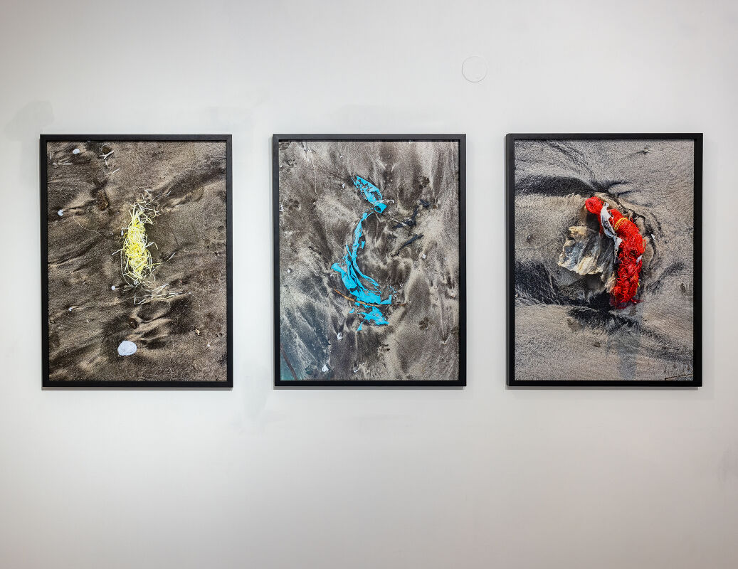 artist/banner/8_20260201_145954.jpg